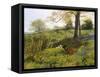 Near Dorking, Surrey-Charles Collins-Framed Stretched Canvas