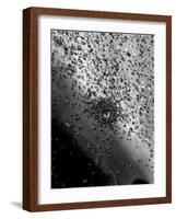 Near Drowning Victim Mary Eschner, Who is Reviving in the Center of the Crowd, Coney Island-Margaret Bourke-White-Framed Photographic Print