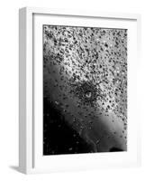 Near Drowning Victim Mary Eschner, Who is Reviving in the Center of the Crowd, Coney Island-Margaret Bourke-White-Framed Photographic Print