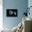 Near-Earth Asteroid, Artwork-null-Framed Photographic Print displayed on a wall