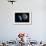 Near-Earth Asteroid, Artwork-null-Framed Photographic Print displayed on a wall