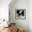 Near-Earth Asteroid-Detlev Van Ravenswaay-Framed Premium Photographic Print displayed on a wall