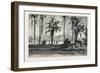 Near Gizeh, Between the Nile and the Pyramids, Egypt, 1879-null-Framed Giclee Print