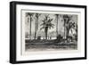 Near Gizeh, Between the Nile and the Pyramids, Egypt, 1879-null-Framed Giclee Print