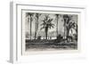 Near Gizeh, Between the Nile and the Pyramids, Egypt, 1879-null-Framed Giclee Print