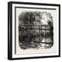 Near Godalming, Surrey, England, UK-null-Framed Giclee Print