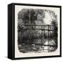 Near Godalming, the Forest Scenery Of19th Century-null-Framed Stretched Canvas