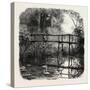 Near Godalming, the Forest Scenery Of19th Century-null-Stretched Canvas