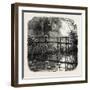 Near Godalming, the Forest Scenery Of19th Century-null-Framed Giclee Print