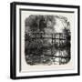 Near Godalming, the Forest Scenery Of19th Century-null-Framed Giclee Print