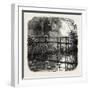 Near Godalming, the Forest Scenery Of19th Century-null-Framed Giclee Print