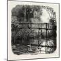 Near Godalming, the Forest Scenery Of19th Century-null-Mounted Giclee Print
