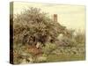 Near Hambledon-Helen Allingham-Stretched Canvas