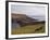 Near Heimaey, Westman Islands, Iceland, Polar Regions-Ethel Davies-Framed Photographic Print