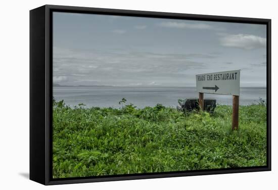 Near Kodiak in Alaska, USA-Françoise Gaujour-Framed Stretched Canvas