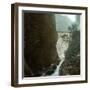 Near Lauterbrunnen (Switzerland), the Gorges of the Alpbach in the Lauterbrunnen Valley-Leon, Levy et Fils-Framed Photographic Print