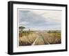 'Near Liverpool, looking towards Manchester', Liverpool and Manchester Railway, 1833-Henry Pyall-Framed Giclee Print