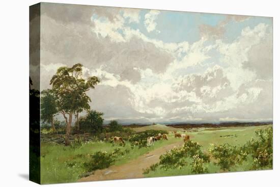 Near Liverpool, New South Wales, C. 1908-William Charles Piguenit-Stretched Canvas