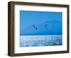 Near Marbella, Costa del Sol, Malaga Province, Andalusia, southern Spain. Kite surfing.-null-Framed Photographic Print