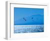 Near Marbella, Costa del Sol, Malaga Province, Andalusia, southern Spain. Kite surfing.-null-Framed Photographic Print