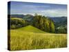 Near Maria Neustift, Foothills of the Alps, Upper Austria, Austria-Rainer Mirau-Stretched Canvas