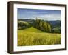 Near Maria Neustift, Foothills of the Alps, Upper Austria, Austria-Rainer Mirau-Framed Photographic Print