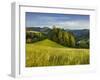 Near Maria Neustift, Foothills of the Alps, Upper Austria, Austria-Rainer Mirau-Framed Photographic Print