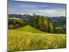 Near Maria Neustift, Foothills of the Alps, Upper Austria, Austria-Rainer Mirau-Mounted Photographic Print