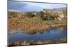 Near Maum Cross, Connemara, County Galway, Connacht, Republic of Ireland, Europe-Carsten Krieger-Mounted Photographic Print