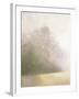 Near Oaks II-Julia Purinton-Framed Art Print