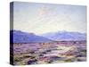 Near Palm Springs-John Frost-Stretched Canvas