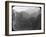 Near Petrópolis, Rio De Janeiro, Brazil, Late 19th or Early 20th Century-null-Framed Photographic Print