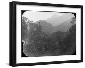 Near Petrópolis, Rio De Janeiro, Brazil, Late 19th or Early 20th Century-null-Framed Photographic Print