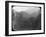 Near Petrópolis, Rio De Janeiro, Brazil, Late 19th or Early 20th Century-null-Framed Photographic Print