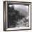 Near Petrópolis, Rio De Janeiro, Brazil, Late 19th or Early 20th Century-null-Framed Photographic Print