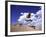 Near Reno Nevada, USA-null-Framed Photographic Print