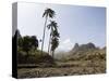 Near Ribiera Grande, Santo Antao, Cape Verde Islands, Africa-R H Productions-Stretched Canvas