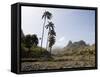 Near Ribiera Grande, Santo Antao, Cape Verde Islands, Africa-R H Productions-Framed Stretched Canvas