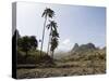 Near Ribiera Grande, Santo Antao, Cape Verde Islands, Africa-R H Productions-Stretched Canvas