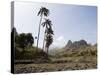 Near Ribiera Grande, Santo Antao, Cape Verde Islands, Africa-R H Productions-Stretched Canvas