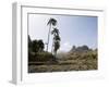 Near Ribiera Grande, Santo Antao, Cape Verde Islands, Africa-R H Productions-Framed Premium Photographic Print