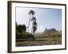 Near Ribiera Grande, Santo Antao, Cape Verde Islands, Africa-R H Productions-Framed Photographic Print