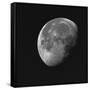 Near Side Of The Moon-Brenda Petrella Photography LLC-Framed Stretched Canvas