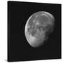 Near Side Of The Moon-Brenda Petrella Photography LLC-Stretched Canvas