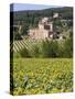 Near Siena, Val D'Orcia, Tuscany, Italy, Europe-Marco Cristofori-Stretched Canvas