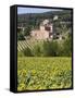 Near Siena, Val D'Orcia, Tuscany, Italy, Europe-Marco Cristofori-Framed Stretched Canvas