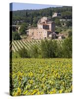 Near Siena, Val D'Orcia, Tuscany, Italy, Europe-Marco Cristofori-Stretched Canvas