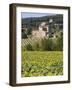 Near Siena, Val D'Orcia, Tuscany, Italy, Europe-Marco Cristofori-Framed Photographic Print