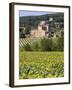 Near Siena, Val D'Orcia, Tuscany, Italy, Europe-Marco Cristofori-Framed Photographic Print