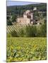 Near Siena, Val D'Orcia, Tuscany, Italy, Europe-Marco Cristofori-Mounted Photographic Print